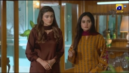 Haya - Episode 52 - 13th November 2025